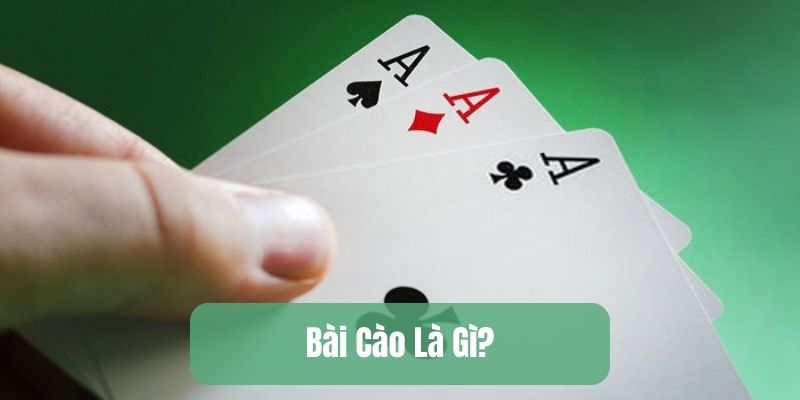 Bài Cào