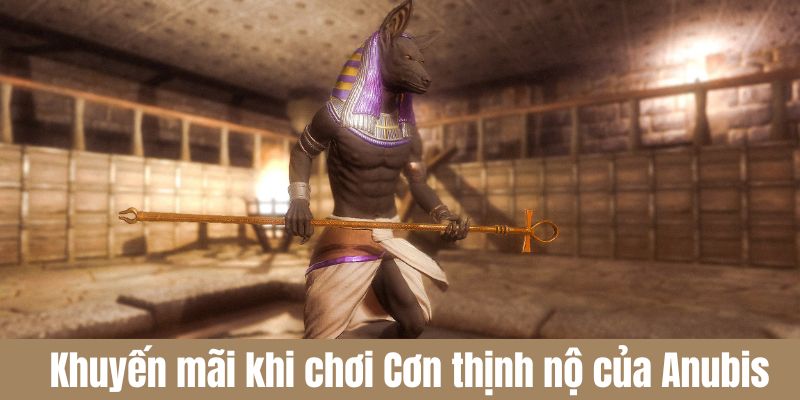 Cơn thịnh nộ của Anubis